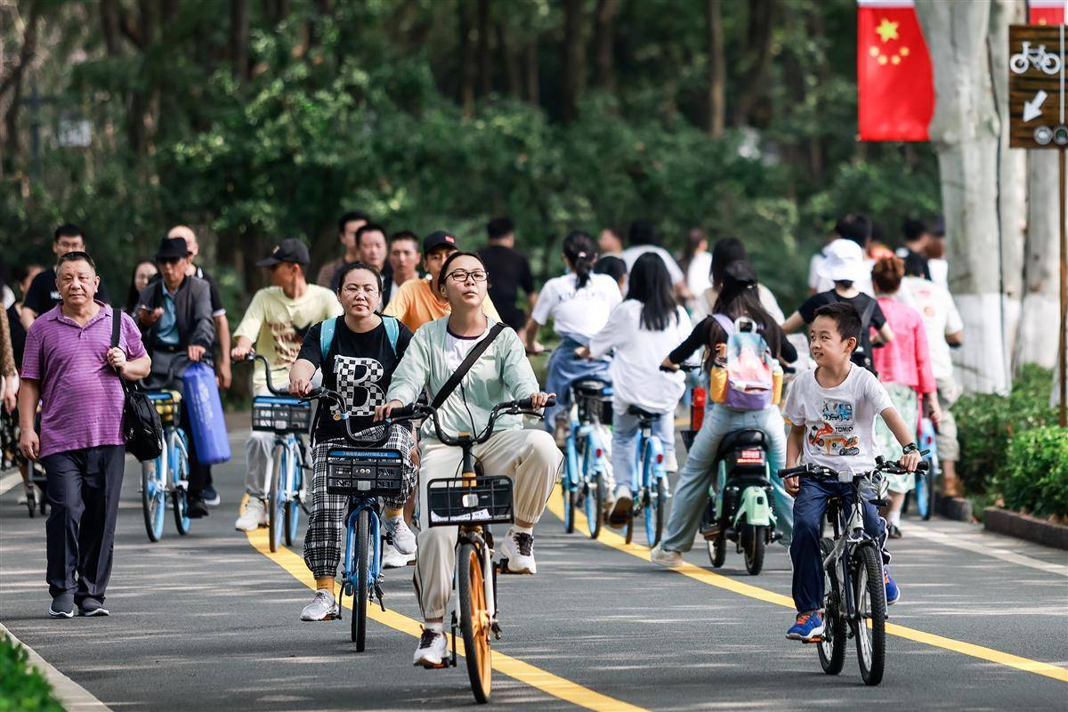 彩名堂官方网站